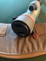 IMG_3798.jpeg IMG_3798.jpeg