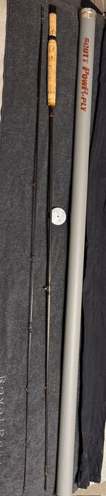 IMG_9293.jpeg