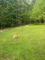 IMG_6492.jpeg