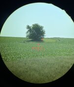 IMG_6584.jpeg IMG_6584.jpeg
