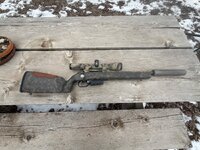 IMG_7513.jpeg IMG_7513.jpeg