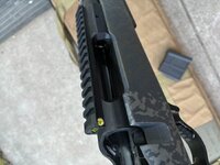IMG_2308.jpeg IMG_2308.jpeg