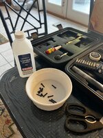 IMG_3181.jpeg