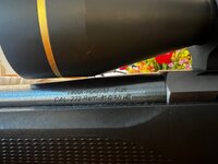IMG_3193.jpeg