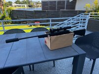 IMG_3201.jpeg