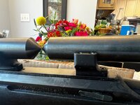 IMG_3187.jpeg