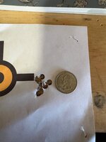 IMG_7503.jpeg