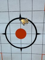 IMG_6343.jpeg