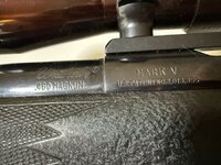 IMG_6462.jpeg