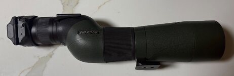 IMG_6482.jpeg