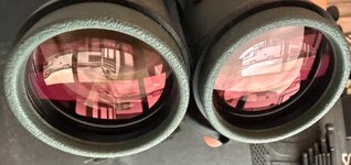IMG_6033.jpeg