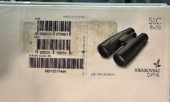 IMG_6035.jpeg
