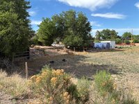 IMG_0088.jpeg