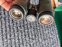 IMG_3708.jpeg
