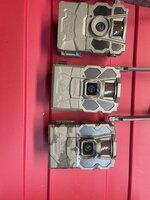 IMG_1126.jpeg IMG_1126.jpeg