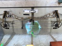IMG_0677.jpeg