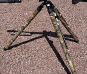 IMG_3756.jpeg