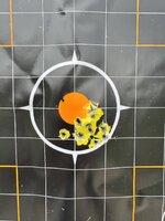 IMG_4212.jpeg