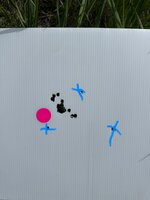 IMG_5550.jpeg