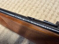 IMG_0425.jpeg