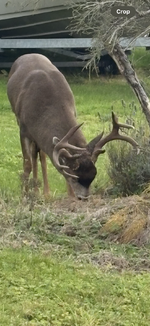 IMG_6648.png