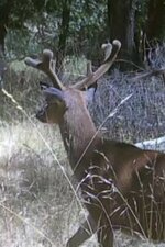 IMG_1896.jpeg