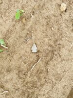 IMG_5015.jpeg