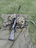 IMG_4165.jpeg IMG_4165.jpeg