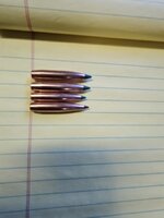 1000005627.jpg