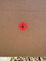 IMG_9268.jpeg
