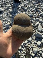 IMG_6998.jpeg IMG_6998.jpeg
