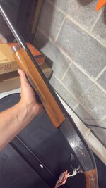 IMG_8286.jpeg