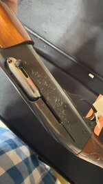 IMG_8288.jpeg
