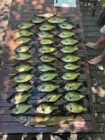 IMG_0634.jpeg