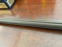 IMG_0913.jpeg