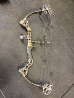 IMG_1161.jpeg