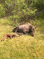 IMG_6314.jpeg
