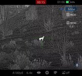 IMG_8194.jpeg IMG_8194.jpeg