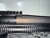 IMG_3272.jpeg
