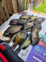 20260530_155740.jpg 20260530_155740.jpg