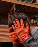 IMG_0138.jpeg