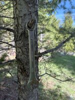 IMG_0296.jpeg