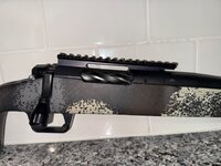 IMG_3295.jpeg