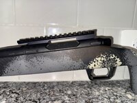 IMG_3297.jpeg
