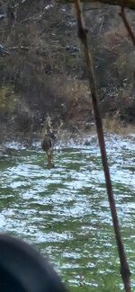 20251206_160146.jpg