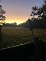 IMG_0463.jpeg