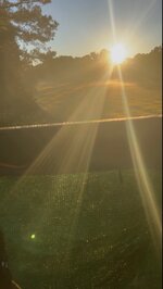 IMG_2902.jpeg