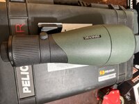 IMG_7501.jpeg
