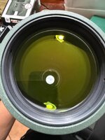 IMG_7503.jpeg