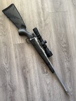 IMG_1815.jpeg